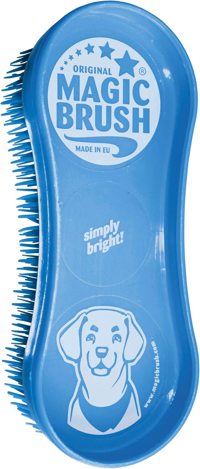 MagicBrush Dog Blue Sky