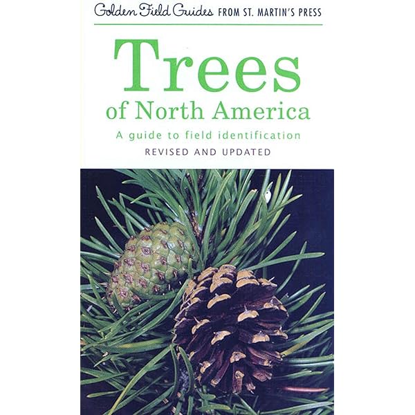 A Field Guide to the Beetles of North America: Text and