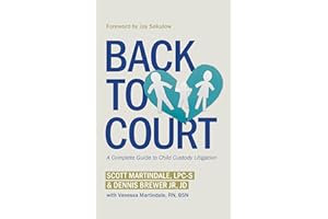 Back to Court: A Complete Guide to Child Custody Litigation