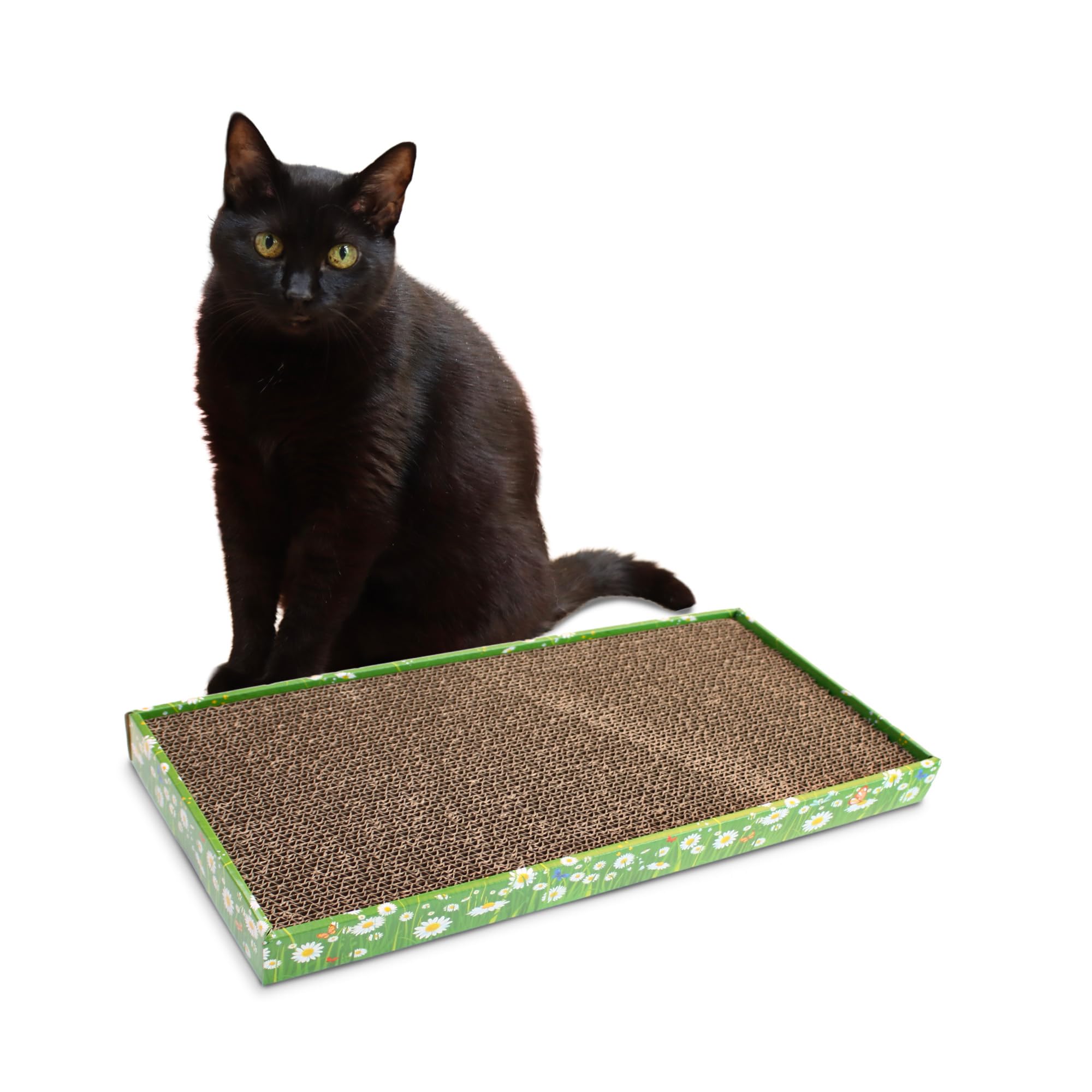 Croci - Cardboard cat scratching post, 2 reversible layers, with non-slip feet, including bag of catnip, Fiori style, 48 x 25 x 5 cm