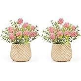 Fuxdre Fake Plants Small with 2 Pack, The Goleden Ball Flower for Bathroom Shelf Decor, Decorative Plants for Home Living Room Office Bedroom Table Tray Shelve Farmhouse Decor Indoor(Pink)