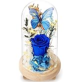 Forever Flowers Preserved Roses with Light in Glass Dome, Romantic Gifts for Mom Wife Girlfriend Grandma, Blue Flower for Christmas, Valentine's Day, Anniversary, Birthday.Prime Delivery