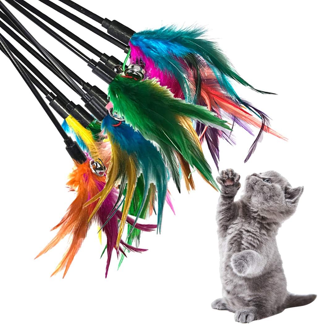 boxoon 10PCS Cat Wand Toy Interactive Cat Teaser Toys Kitten Toy with Bell Cat Feather Wand Toys