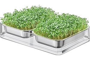 FANHAO Upgraded Visual Seed Sprouter Tray, Stainless Steel Soil-Free Cultivation Germination Tray with Acrylic Base, Healthy 