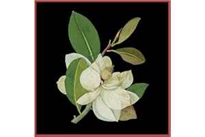 Orenco Originals Magnolia Flower Mary Delany Counted Cross Stitch Pattern