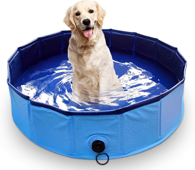 dog pool amazon ca