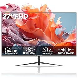 Raywego 27 inch Gaming Monitor 100Hz Computer