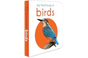 MY FIRST BOOK OF BIRDS : FIRST BOARD BOOK