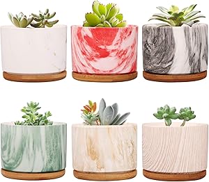 Plant Pot ,Brajttt Ceramic Succulent Pot Planter Flower Pots with Drainage,Small Planter Pots for Mini Plant Ceramic Flowing Glaze Base Serial Set with Bamboo Tray(Set of 6)
