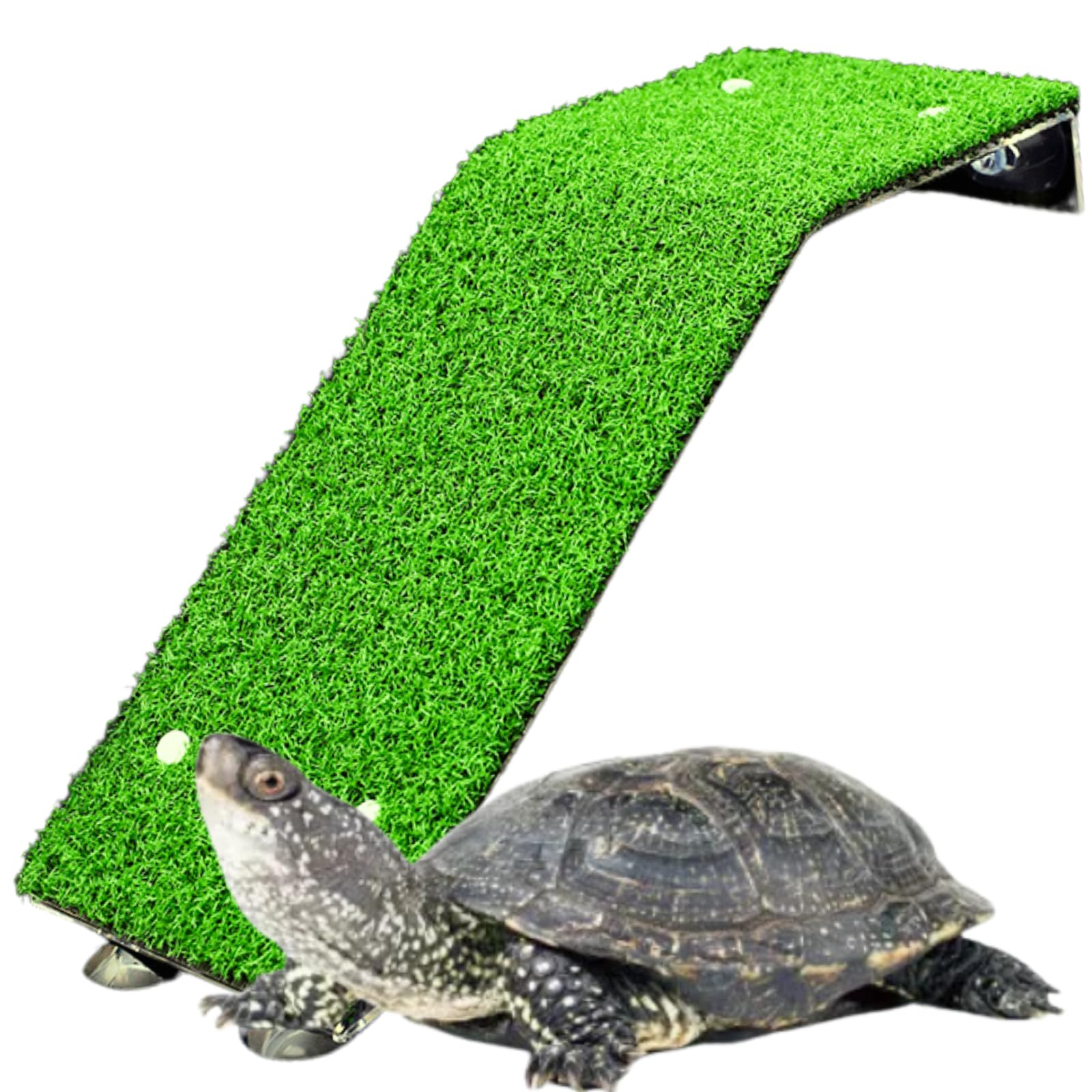 Saim Turtle Basking Platform