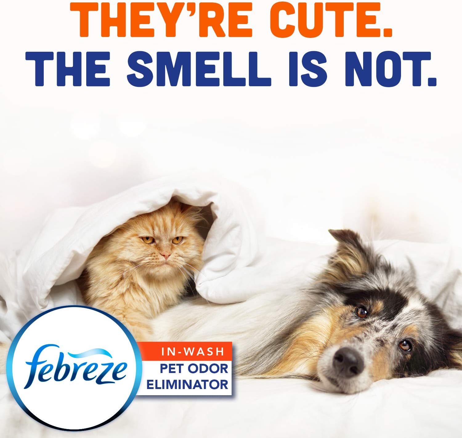 Febreze Laundry Pet Odor Eliminator, In Wash Clothes Scent Booster, Deodorizer, Detergent Additive, Fabric Refresher, Fresh Scent, 98 Fl Oz, Packaging May Vary: Health & Personal Care