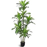 Waoops Artificial Plants 6Ft Dracaena Fragrans Faux Trees with 8 Heads Fake Tree for Home Decor Indoor or Outdoor Office Decoration Housewarming Gift