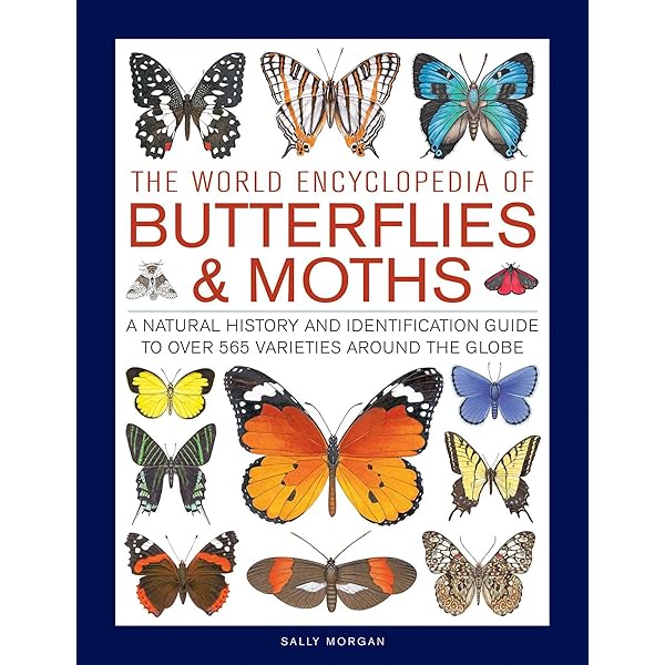 Amazon.com: One Hundred Butterflies: 9780316033633: Feinstein