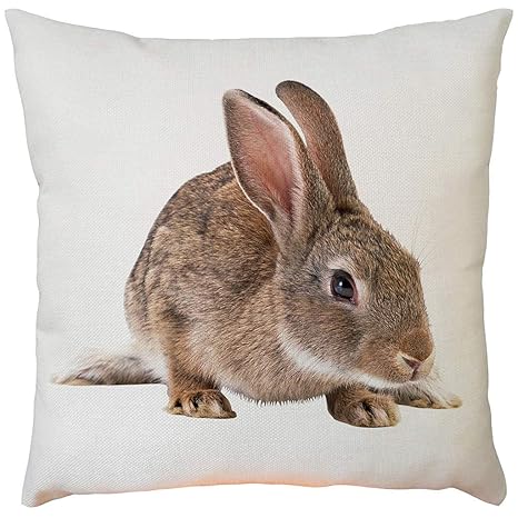 Kissenbezug Ostern Hffan Hase Drucken Sofa Bett Zuhause Dekoration Festival Kissenbezug Dekokissen Ostern Kuschelkissen Mümme