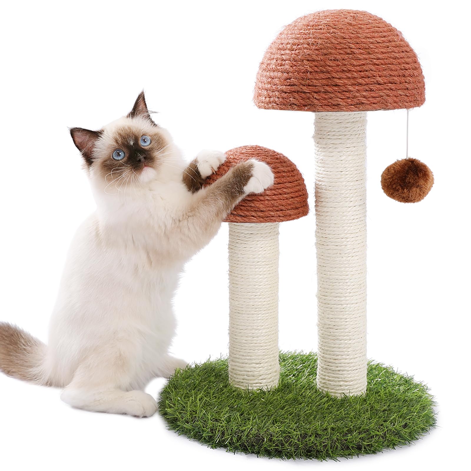 Photo 1 of PETEPELA Cat Scratching Post, Mushroom Tall Cat Scratcher Featuring with Natural Sisal Scratching Poles and Interactive Toy Ball for Kittens and Small Cats (Brown)