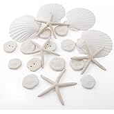 JQAQJU 20PCS Sea Shells for Crafting 3-4", Mini Sand Dollars Starfish Decor for Crafts, Scallop Shells for Cooking, Seashells for Crafts DIY Beach Theme Party Candle Decor Wedding Fish Tank