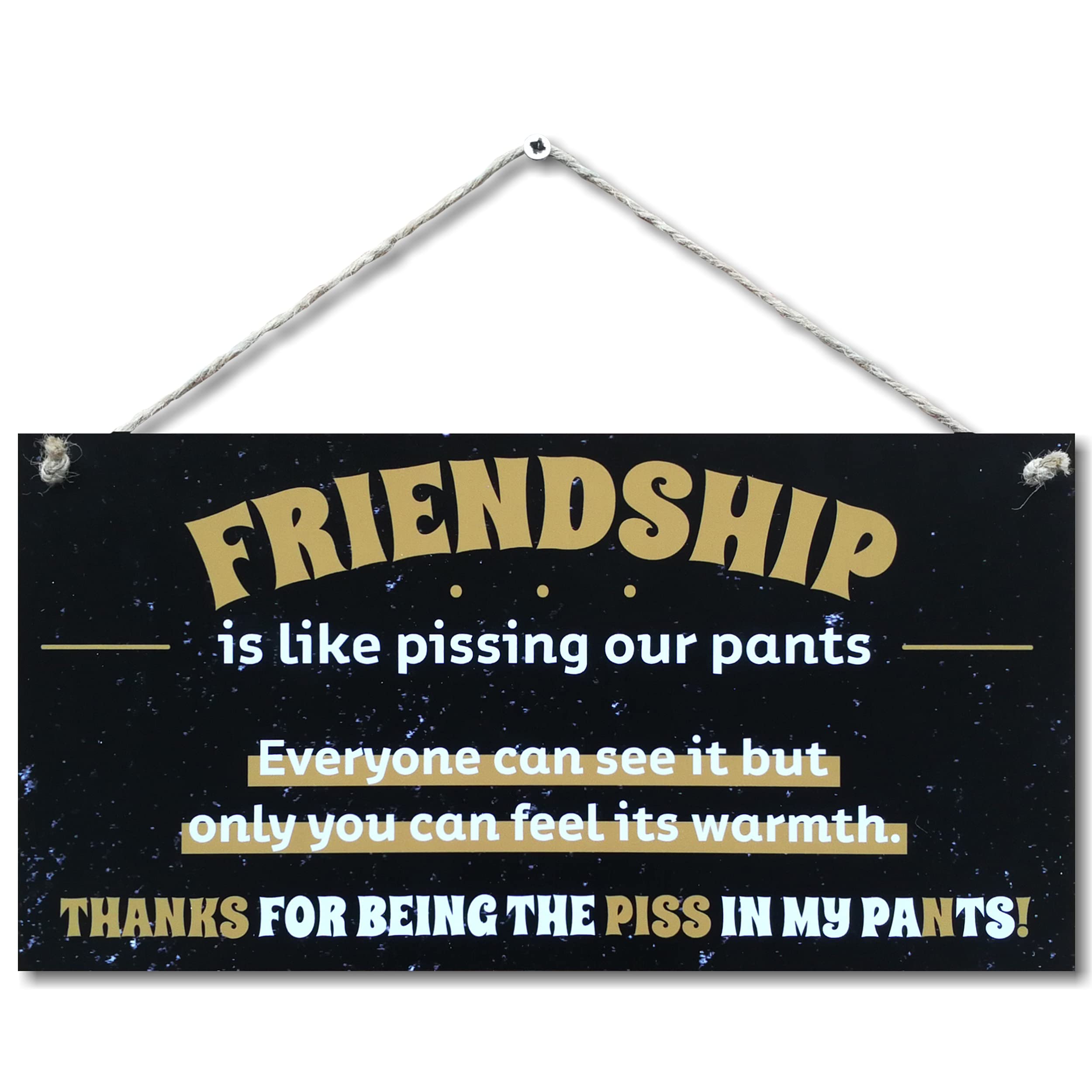CARISPIBET Friendship is like pissing your pants | home decorative sign, funny home signs, fun gift 6" x 12"
