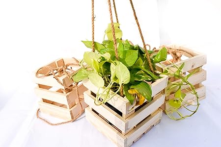 Balcony Hangings | Wooden Crates|Wooden Plant Container | Planter Baskets | Storage Baskets | Woodcraft | Size: 7 * 7*& Inch