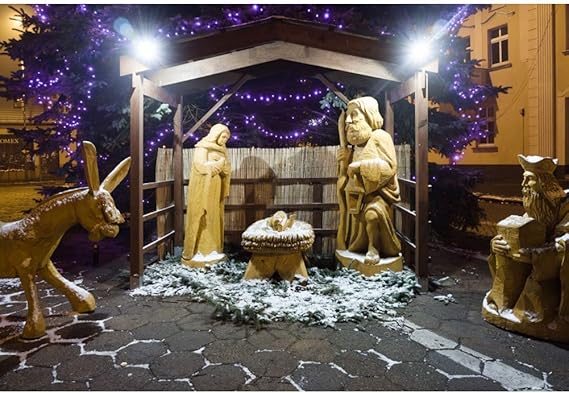 Sfondi Natalizi Religiosi.Mmptn Sfondo Per La Nascita Di Gesu Cristo Agnello Di Gesu Cristo Sfondo Fotografico Per Battesimo Credenze Religiose Chiesa Eventi Di Natale Per Studio Fotografico Video Amazon It Elettronica