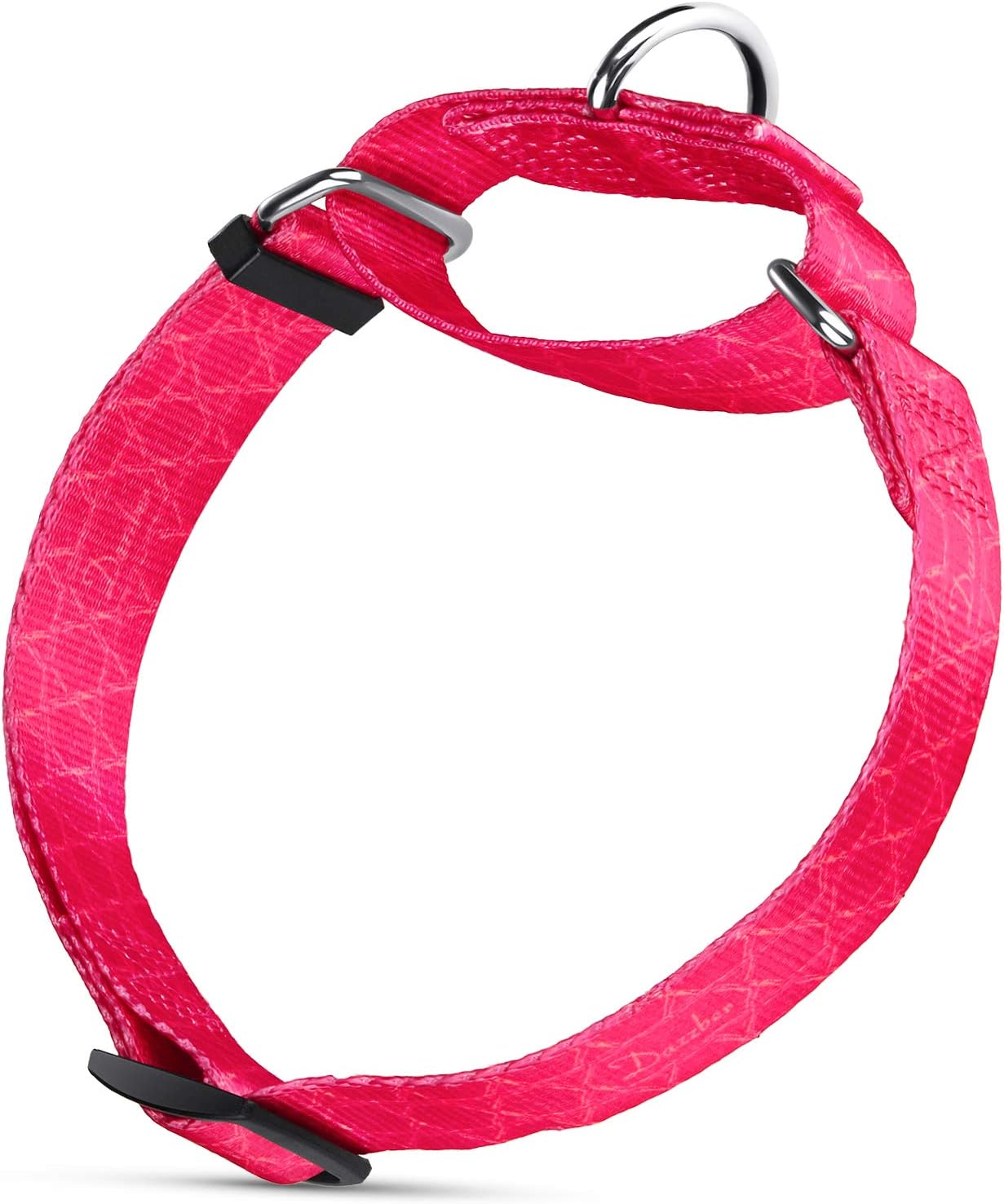 10 Best Martingale Dog Collars That Can Avoid the Slipping