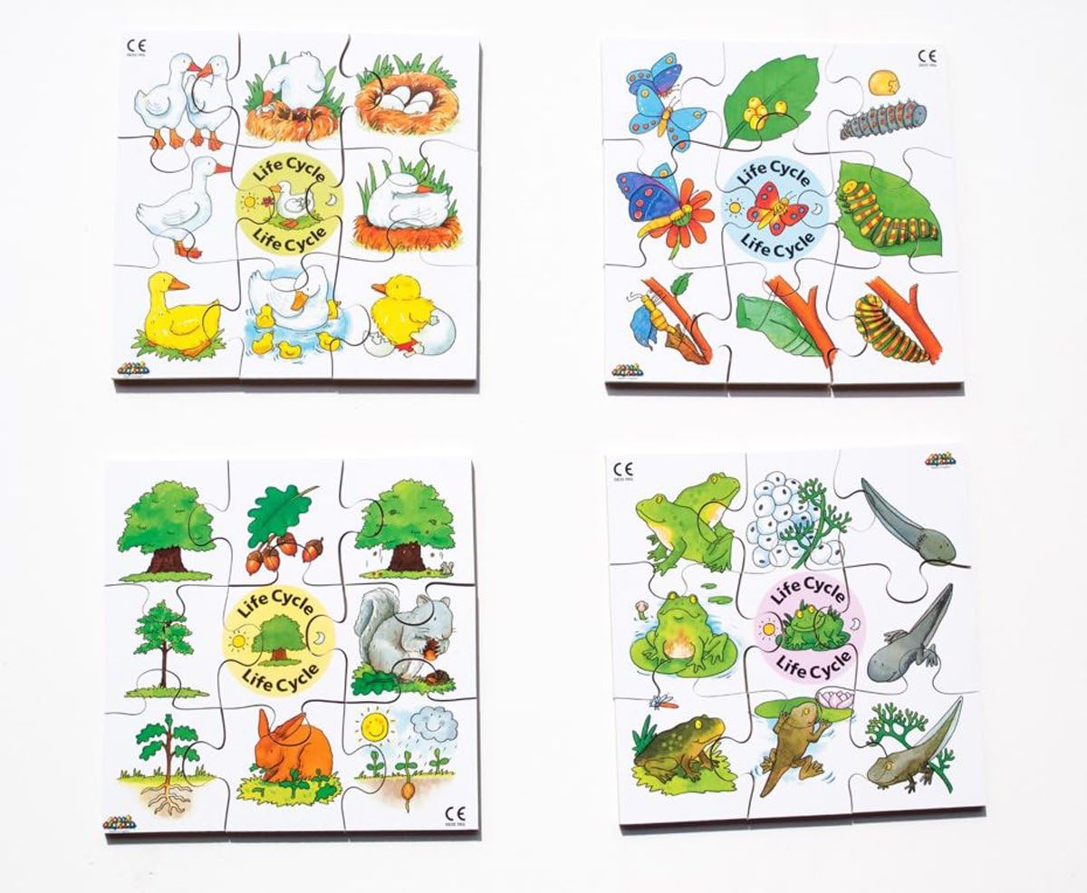 Junior Jigsaw Puzzles - Life Cycle (4 puzzles in one box)