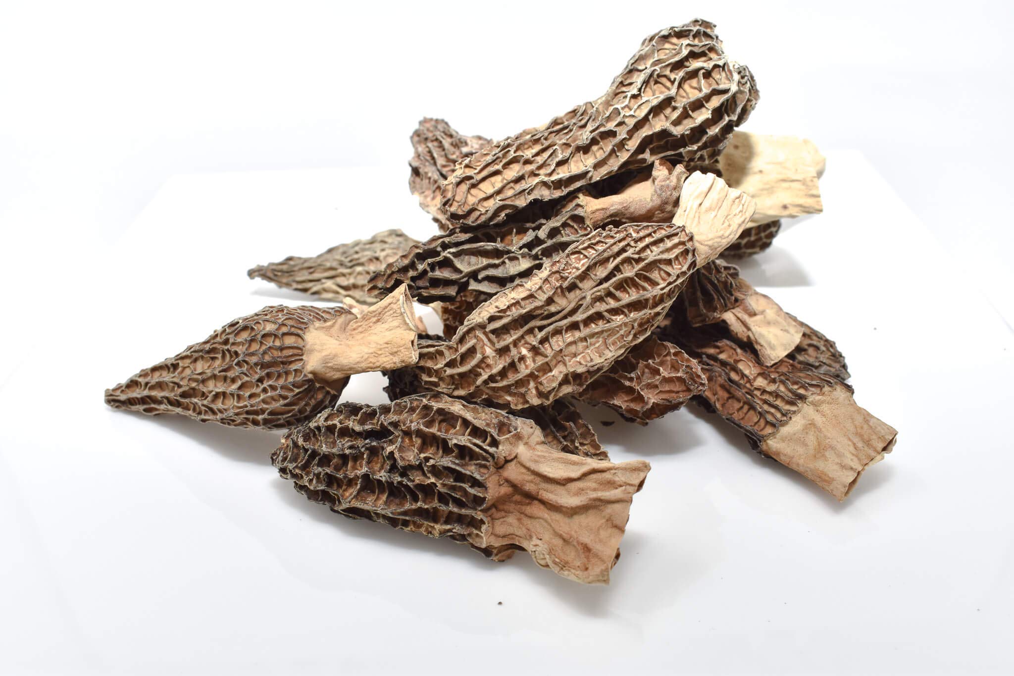 Dried Morels Mushrooms 1 oz. Life Gourmet Shop Grocery