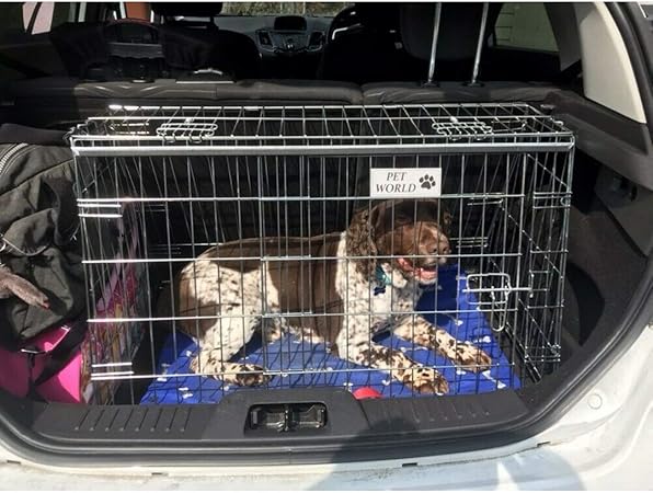 hunter park dog park