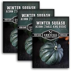 Table King Acorn Squash Seed for Planting - 3