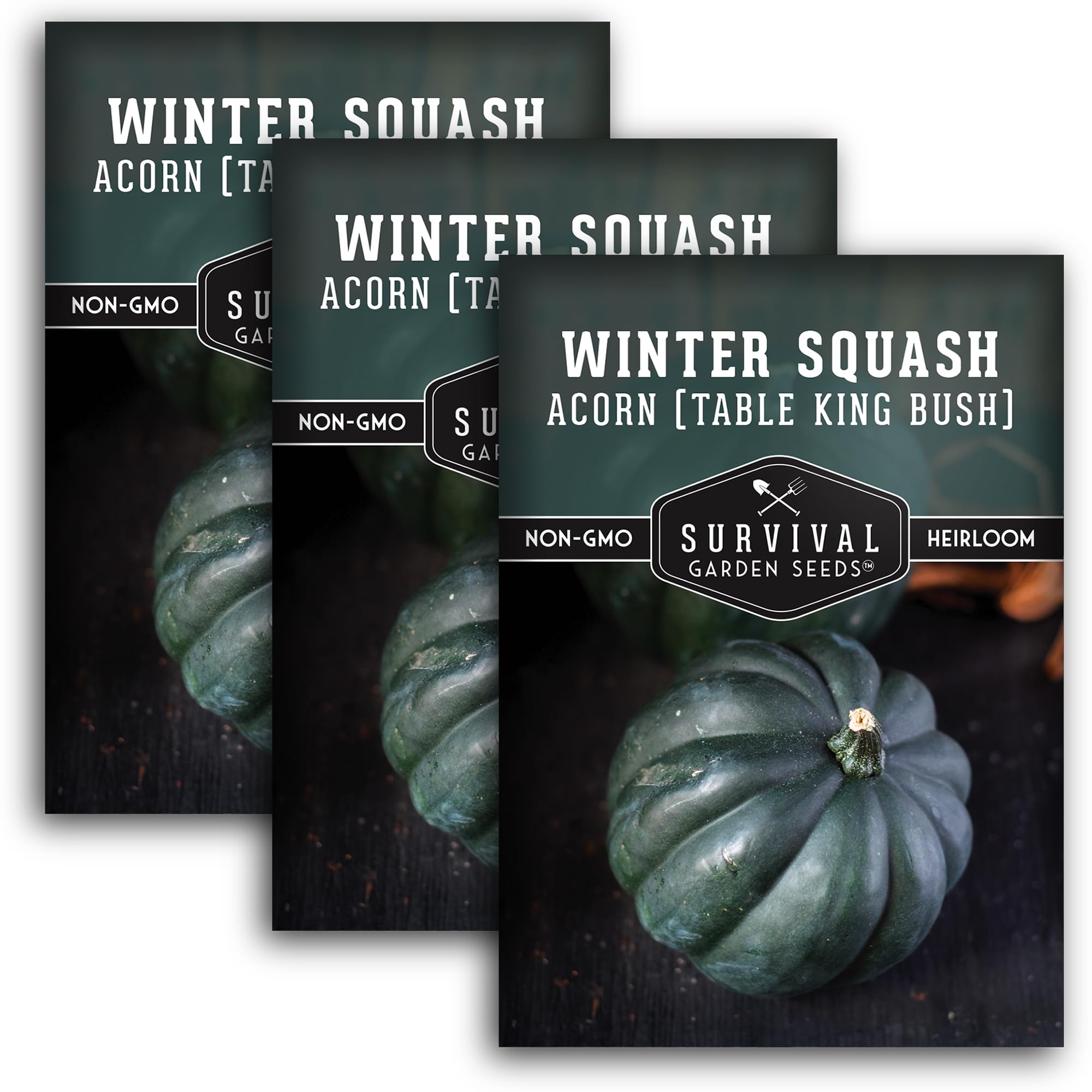 Table King Acorn Squash Seed for Planting - 3