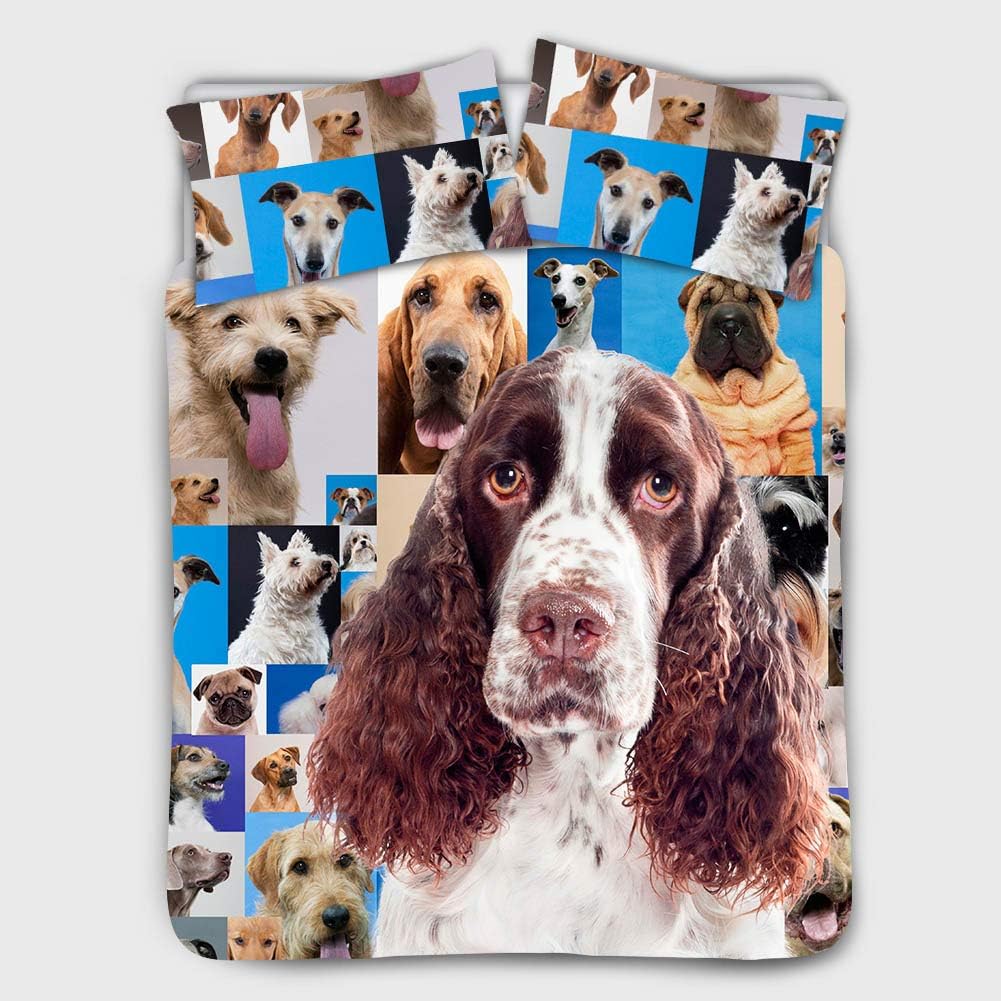 english springer spaniel hypoallergenic