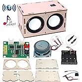 CYOEST DIY Bluetooth Speaker Box Kit Electronic Sound Amplifier - Build Your Own Portable Wood Case Bluetooth Speaker Sound - Science Experiment and STEM Learning for Kids, Teens and Adults