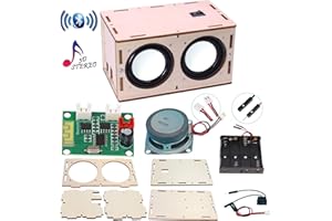 CYOEST DIY Bluetooth Speaker Box Kit Electronic Sound Amplifier - Build Your Own Portable Wood Case Bluetooth Speaker Sound - Science Experiment and STEM Learning for Kids, Teens and Adults