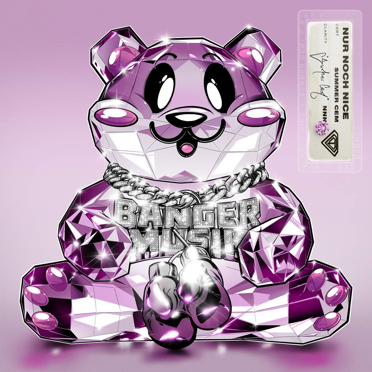 Get Pic Nice Photo PNG