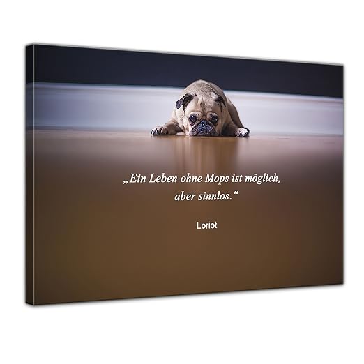 Leinwandbild Mit Zitat Ein Leben Ohne Mops Ist Möglich Aber Leinwandbild Mit Zitat Ein Leben Ohne Mops Ist Möglich Aber