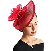 DRESHOW Women Fascinator Hats Tea Party Hat Vintage Pillbox Hat Headband for Cocktail