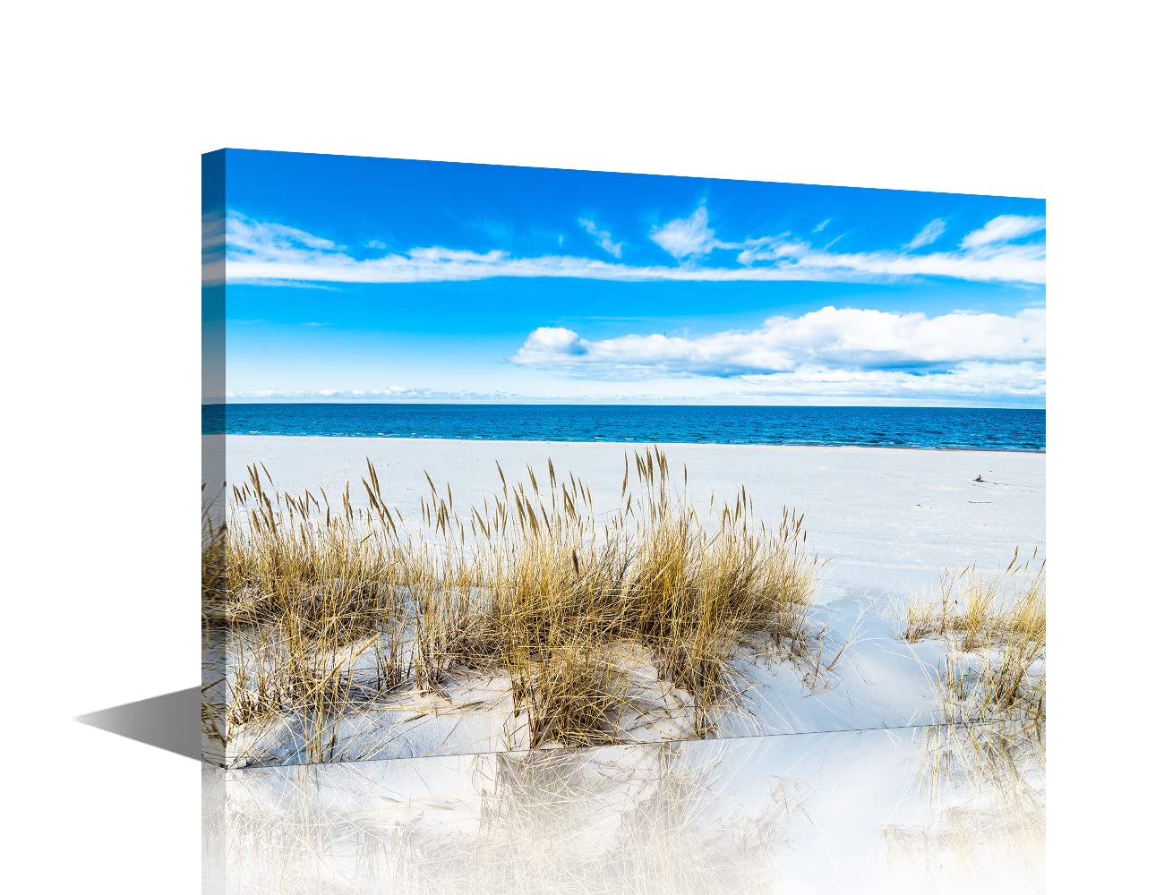 Sandy Beach Seascape Canvas Wall Art Coastal Picture Artwork with Weeds Ocean Nature Landscape for Bedroom Wall Decorations For Living Room Hang Pictures Wall Artwork（8x12in