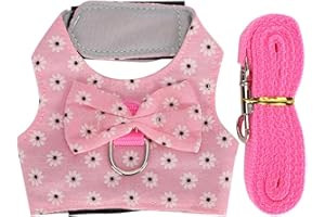 Small Animal Harness and Leash Set, Adjustable Chest Strap Vest for Rabbit, Guinea Pig, Hamster, Gerbil, Rat, Indoor and Outd