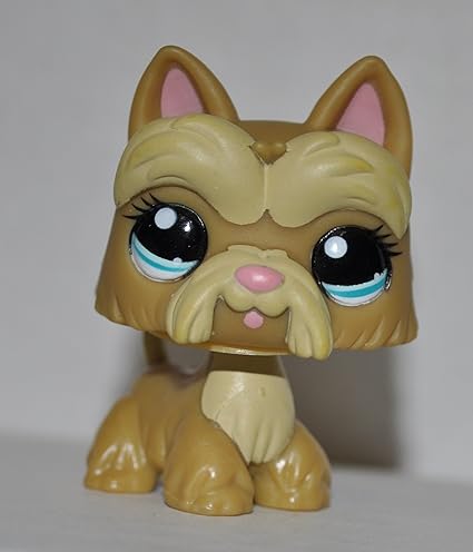 lps scottie