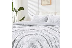 ILVOE Queen Comforter Set 3 Piece - Ultra Soft Lightweight Microfiber, All Seasons Down Alternative - Light Grey Paisely