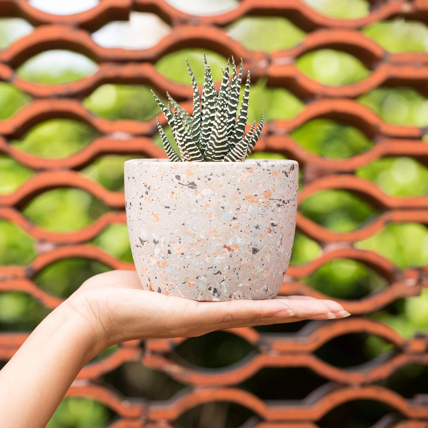 1 pezzo Vaso per piante grasse in ceramica con vassoio in bambù (3,6 x