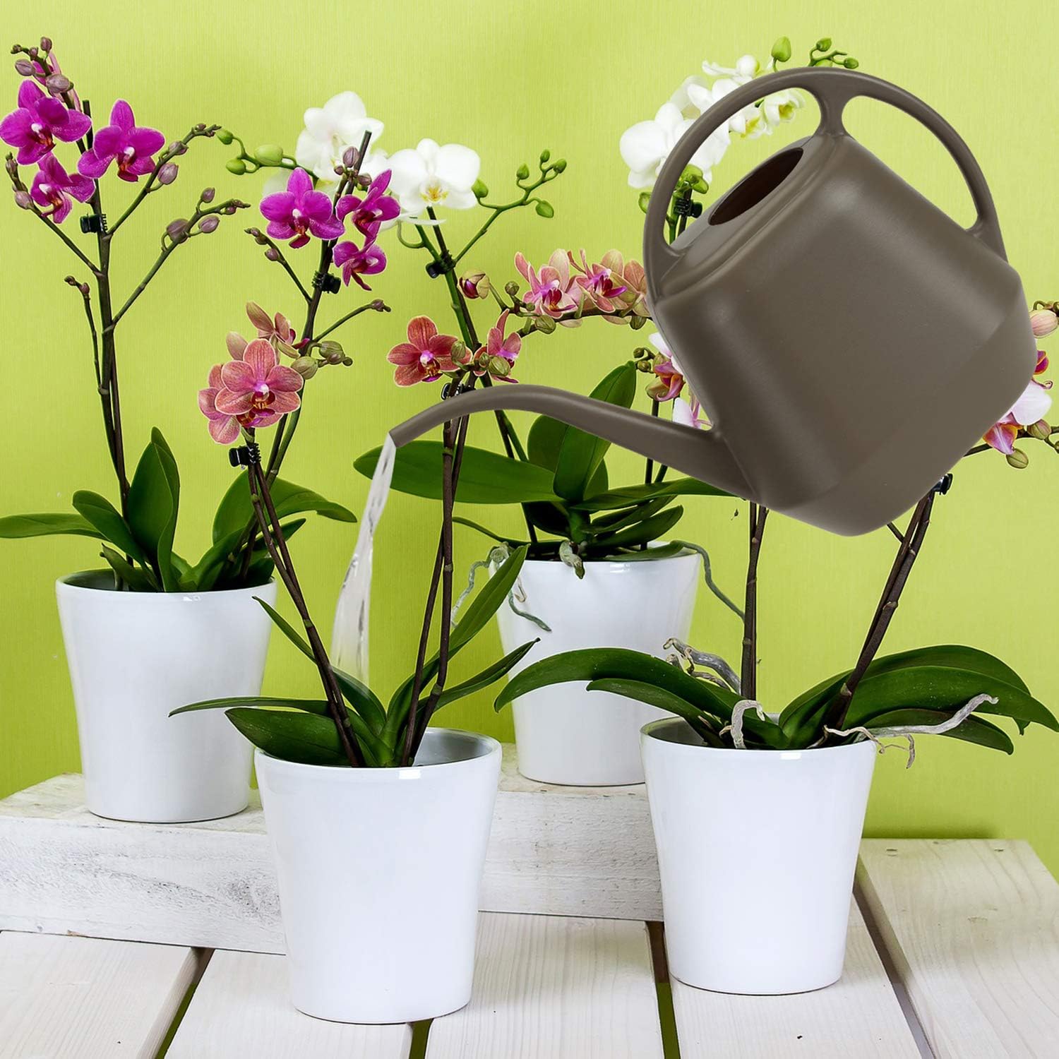 Fasmov Plastic Watering Can, Gray, 1-Gallon : Garden & Outdoor