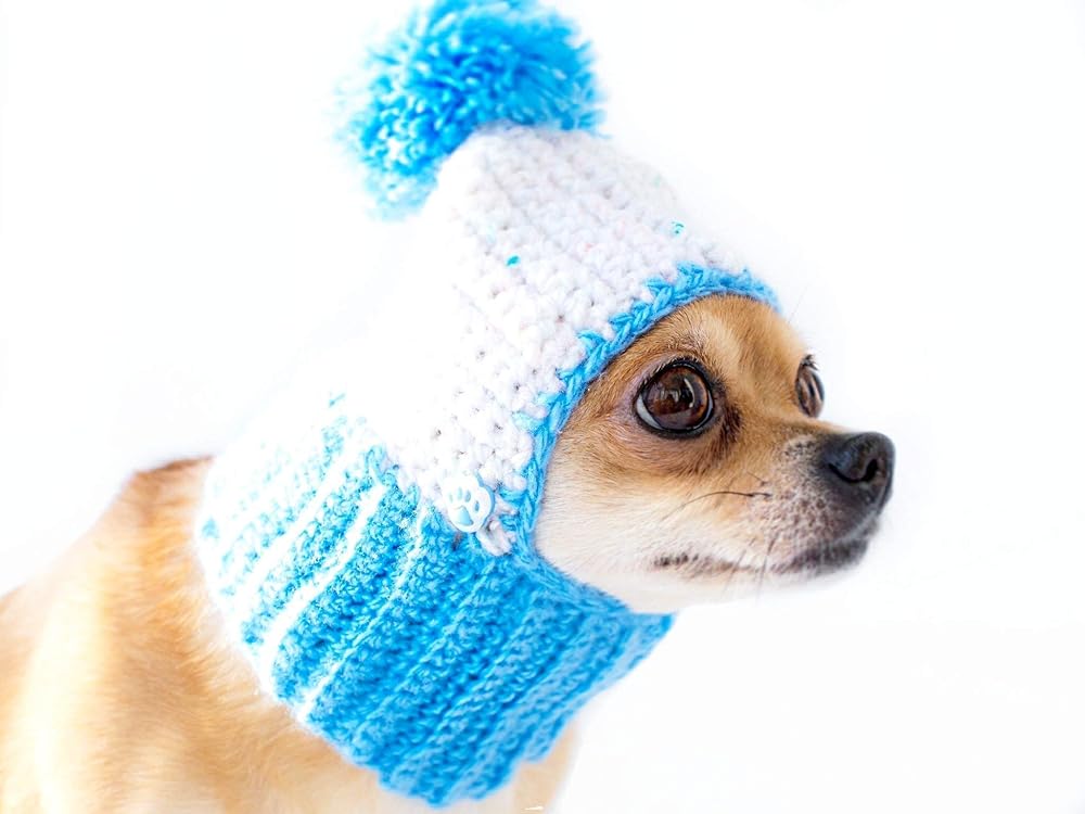 Knitted Dog Hat Boy Crochet Dog Hat With Pompon Warm Winter