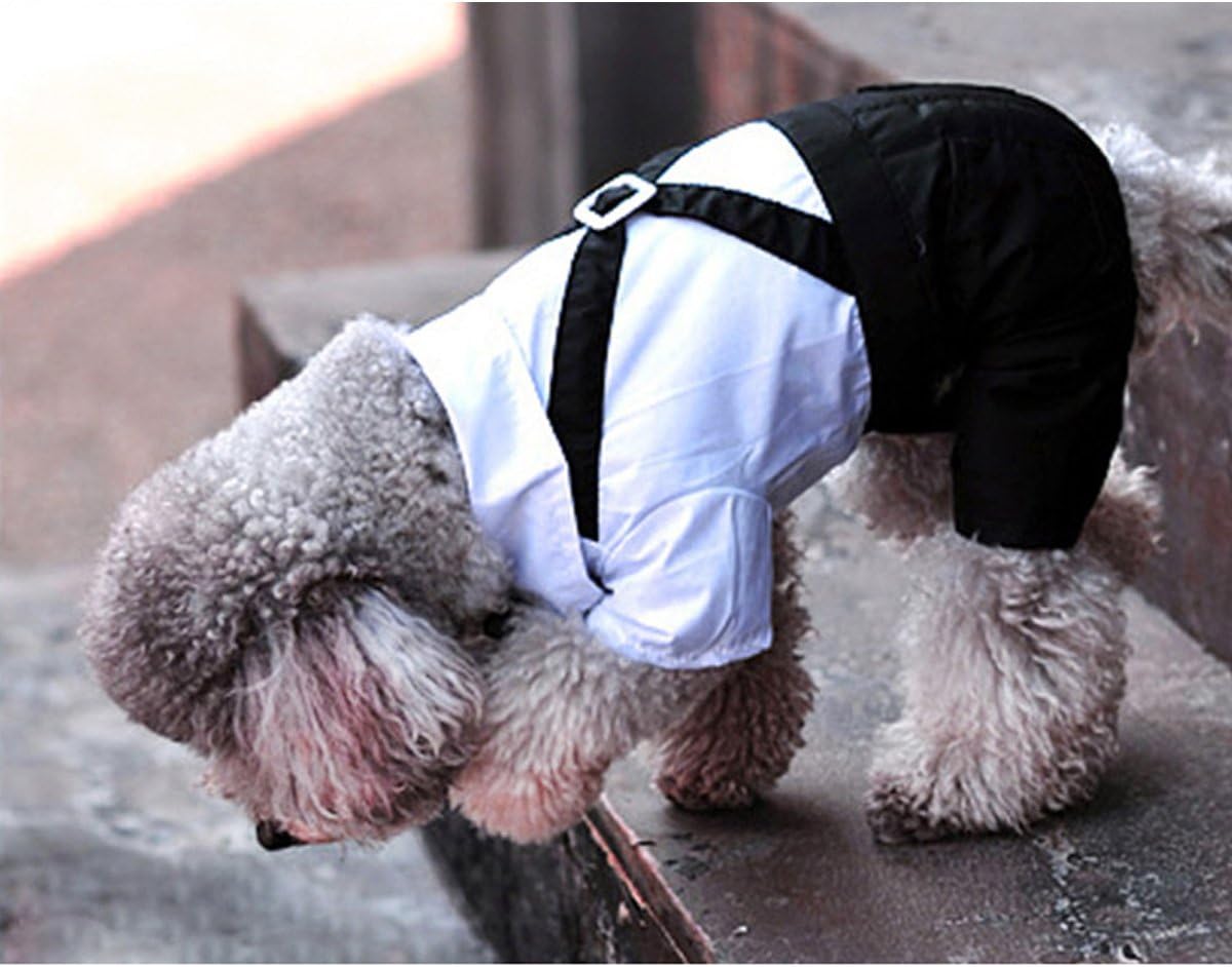 Amazon Ansimite 蝶ネクタイがめちゃキュート 犬 猫 服 タキシード 燕尾服 黒リボン 小型 中型 大型 サイズいろいろあります ブラック L Ansimite コスチューム 通販