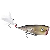 Strike King Junior KVD Splash Hardbait Series Bait
