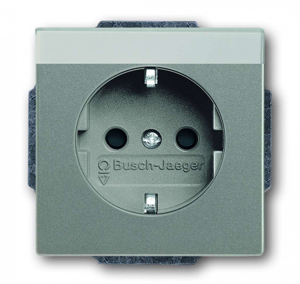 Busch-Jaeger 20 Eun 803 SCHUKO Socket Insert