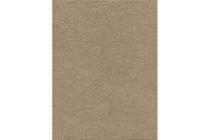 Kunin Eco-Fi Plus Premium Felt (12 Pack), 12" by 18", Sandstone