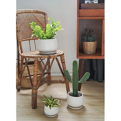 Buy Le Tauci Plant Pots With Drainage Holes And Saucers 4 5 6 5 Ceramic Pots For Plants Planters Indoor Plants Small To Large Sized Set Of 3 White Online In Indonesia B08ccps5cv