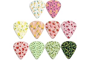 Tropical Fruits 10 Pack Guitar Picks for Electric Guitars Durable Guitar Gifts Durable Guitar Picks for All Kinds of Guitar B