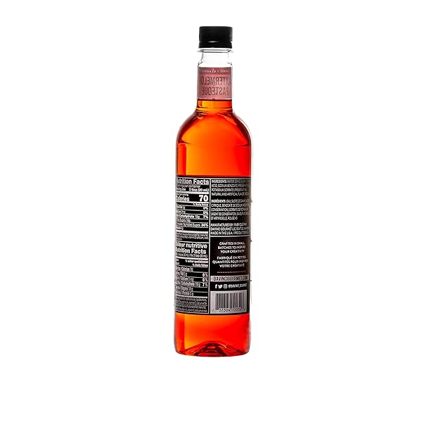 DAVINCI GOURMET CLASSIC WATERMELON SYRUP, 25.4 FLUID OUNCES (PACK OF 1)