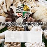 ZYLLZY 20Pcs Transparent Mushroom Grow Bags, 32x65cm, Autoclavable view 4